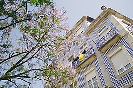 結(jié)構(gòu),建設(shè),藍(lán)色