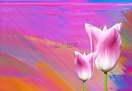 春天,郁金香,性質(zhì)