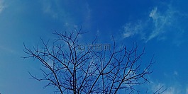 自然,一天,夏天