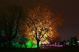 威斯特伐利亞公園,冬季燈,夜間射擊 2013