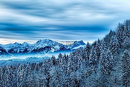 雪,冬天,性质