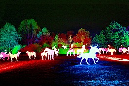 威斯特伐利亞公園,冬季燈 2013,夜間照片