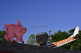 豬,飛機(jī),旅行