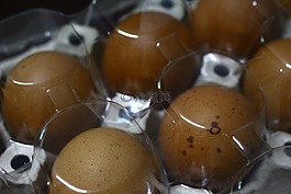 雞蛋,食品,成分