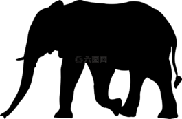 非洲,自然,大
