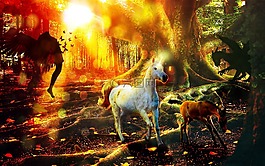 幻想,獨(dú)角獸,森林