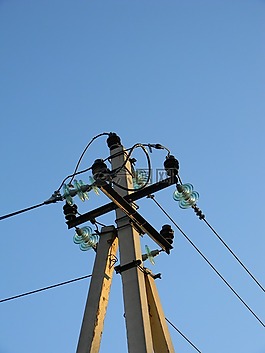 電力,線,后