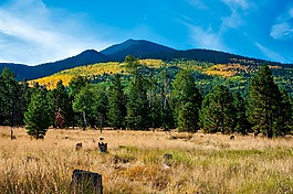 亚利桑那州,山,秋天