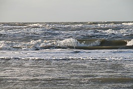 zandvoort,海,冬天