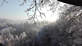 冬天,霜,冷