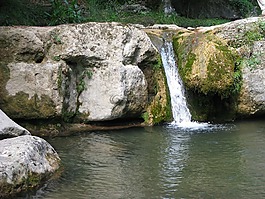 德國,溪,水