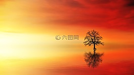 日落,黎明,太陽