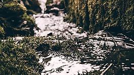 河,水,草