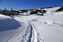 雪,冬天,越野滑雪运动员跟踪