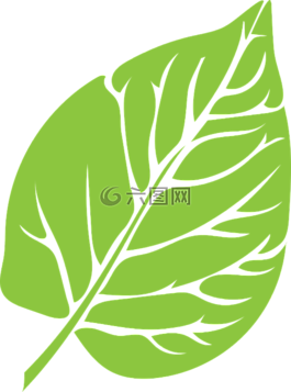 葉,綠色,茂盛