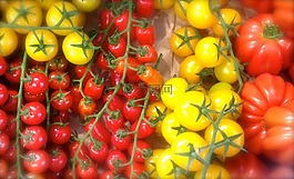 蕃茄,辣椒,蔬菜