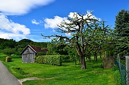 木材,草坪,性質(zhì)