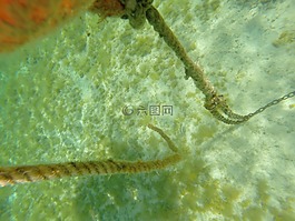 耶,水下,鏈