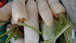 蘿卜,蔬菜,新鮮