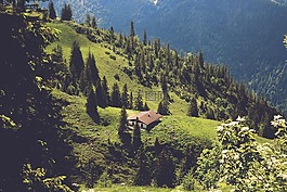 首頁(yè),字段,山