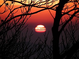 太陽(yáng),晚上,日落