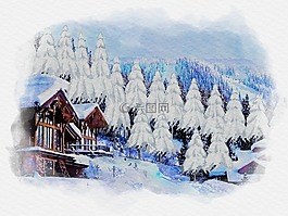 圣誕樹,冬季,白