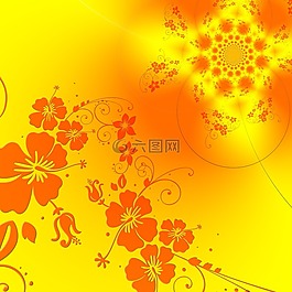 鲜花,花艺设计,植物群