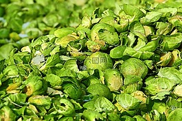 饮食,植物,布鲁塞尔发芽