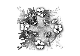 鲜花,花艺设计,植物群