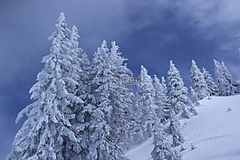 冷,自然,雪