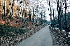 路徑,路,樹(shù)