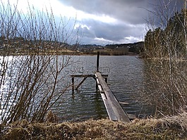 池塘,春天,水