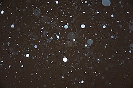雪,冬季,白
