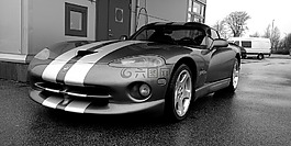 汽車,毒蛇,跑車