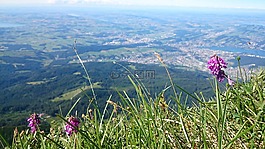 全景圖,高度,山的美