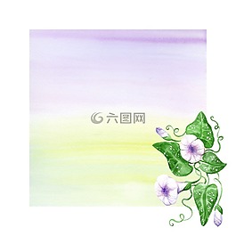 背景,水彩,花