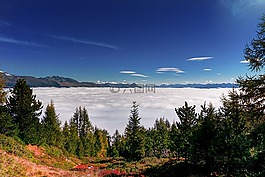 全景,云,景觀
