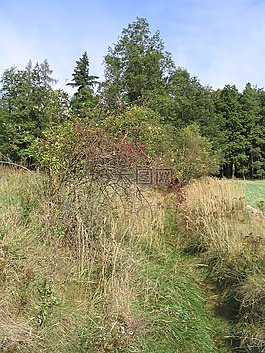 路徑,性質(zhì),夏末