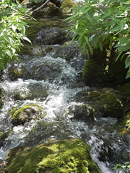 水,河,自然