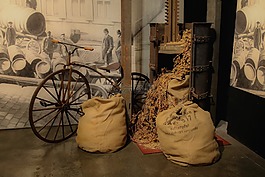 啤酒,躍點(diǎn),自行車