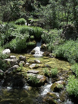 水,河,自然