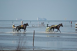海,duhnen,瓦賽