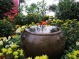 折扣,很无聊,鲜花