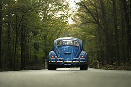 車,經(jīng)典汽車,森林