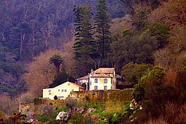 首頁(yè),老房子,浪漫