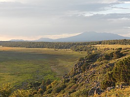 山,景觀,草