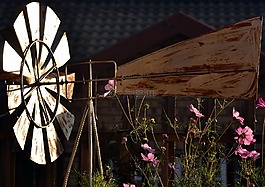 風(fēng)車,陽光,春