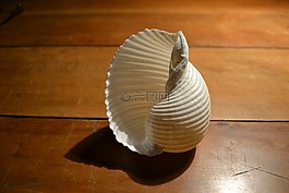 殼,純度,物體