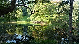 不來梅,市民公園,性質(zhì)