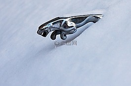 捷豹,雪,冬季
